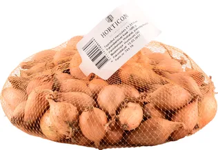 TIPPSIBUL HERCULES 500G 21/23