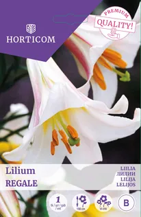 LIILIA SPECIAL REGALE 1TK