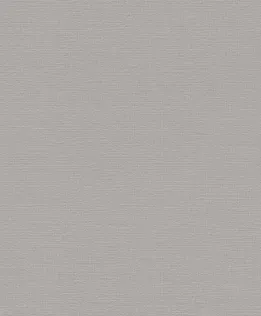 TAPEET RASCH 732320 0,53X10,05M