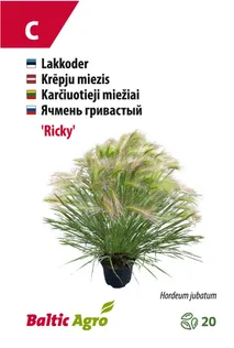 LAKKODER BALTIC AGRO "RICKY"