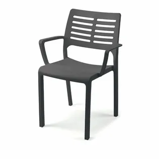 AIATOOL PROGARDEN ALISEI 57X52X82CM ANTRATSIIT