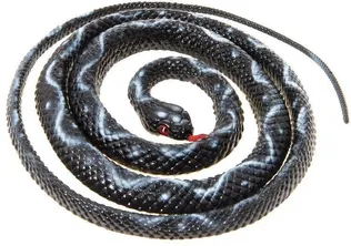 LINNU- JA NÄRILISEPELETAJA TARMO MADU 130CM