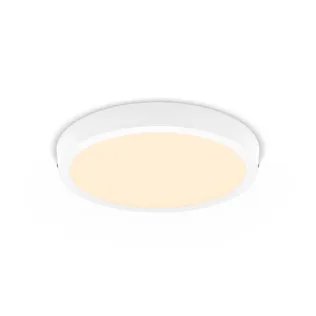PLAFOON PHILIPS MAGNEOS DL252 ÜMMARGUNE 20W 2700K IP20 VALGE