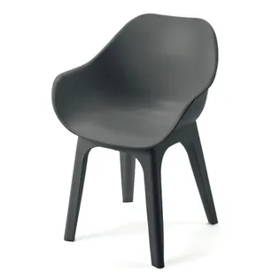 AIATOOLIDE KOMPLEKT PROGARDEN GHIBLI ANTRATSIIT 2TK