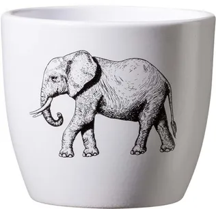 ÜMBRISPOTT SK SAFARI Ø10CM, ELEVANT