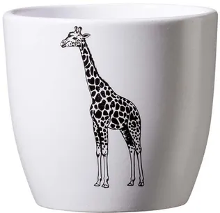 ÜMBRISPOTT SK SAFARI Ø10CM, KAELKIRJAK