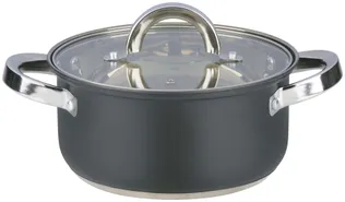 POTT ALPINA KAANEGA 18CM, 2,4L