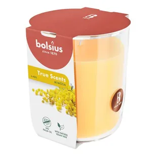 LÕHNAKÜÜNAL KLAASIS BOLSIUS 45H, MIMOSA