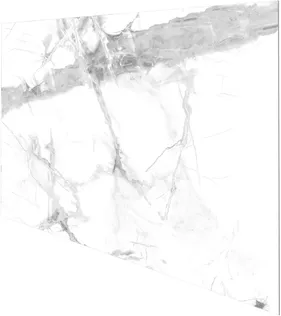 SEINAPANEEL VILO SPC CALACATTA SNOW 120X60CM 2,88M² PAKIS, MATT