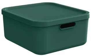 HOIUKAST KAANEGA ROTHO ALBULA 20L, JÕULU ROHELINE
