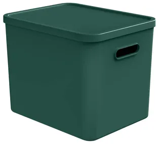 HOIUKAST KAANEGA ROTHO C4 ALBULA 27L, JÕULU ROHELINE