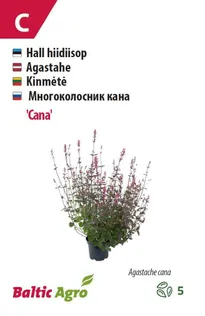 HIIDIISOP BALTIC AGRO "CANA"
