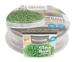 IDANDAMISKAUSS BUZZY RUKOLA SEEMNETEGA BIO