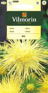 HIINA AEDASTER NEL CALLISTEPHUS CHIN.