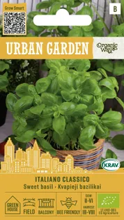 BASIILIK SWEET ITALIANO CLASSICO