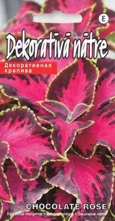 DEKORATIIVNÕGES CHOCOLATE ROSE 5 SEEMET