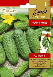 KURK SEKLOS CORVETA H 1,5G