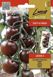 TOMAT SEKLOS LUTHER H, PAKIS 10 SEEMET