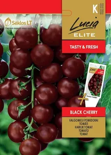 HARILIK TOMAT SEKLOS BLACK CHERRY 0,2G