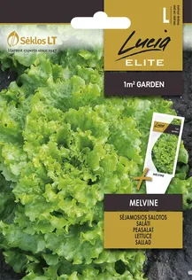 AEDSALAT SEKLOS MELVINE, PAKIS 25 SEEMET