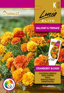 PEIULILL SEKLOS STRAWBERRY BLONDE, PAKIS 30 SEEMET