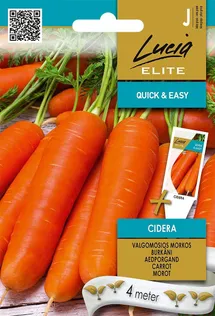 AEDPORGAND SEKLOS CIDERA, PAKIS 4 MEETRIT SEEMNELINTI