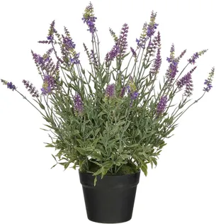 KUNSTLILL MICA DECORATIONS LAVENDEL POTIS 56X55CM LILLA