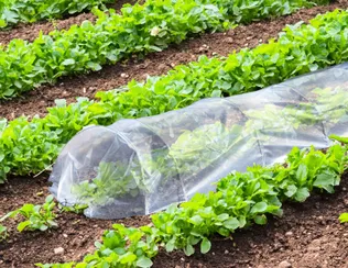 TUNNELKASVUHOONE PROGARDEN 300X45X45CM