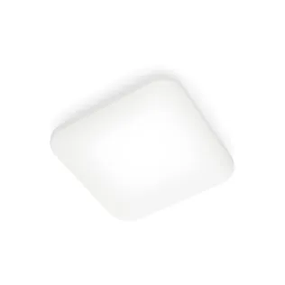 LAEVALGUSTI MAUVE LED 17W 4000K RUUT