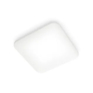 LAEVALGUSTI MAUVE CL270 EC 24W 4000K RUUT VALGE