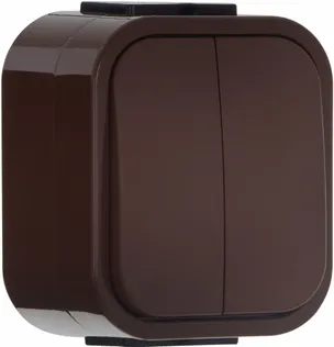 LÜLITI B2 2-NE IP54 PRUUN