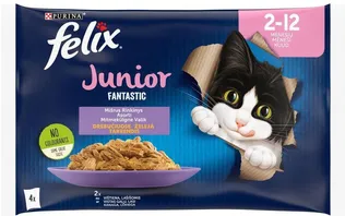 MÄRGTOIT KASSIDELE FELIX JUNIOR KANA-LÕHE 4X85G