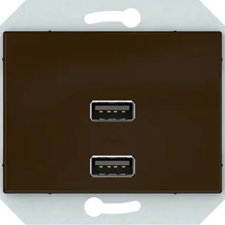 USB PESA VILMA XP500 RAAMITA 2XUSB 3,4 А PRUUN