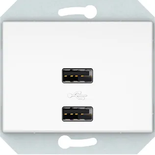 USB PESA VILMA XP500 RAAMITA 2XUSB 3,4 А VALGE