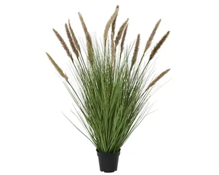 KUNSTTAIM PAMPAS POTIS 110CM PRUUN