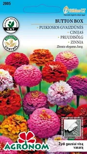 PRUUDISÕLG JORJENIKUJULINE BUTTON BOX
