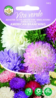 AEDASTER AMERICAN BRANCHING