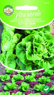 ROOMA SALAT LITTLE GEM