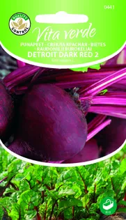 PUNAPEET DETROIT DARK RED 2