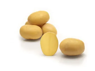 SEEMNEKARTUL BALTIC AGRO 'LILLY' 10KG