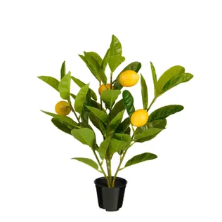KUNSTTAIM MICA DECORATIONS SIDRUNIPUU POTIS H46XØ40CM