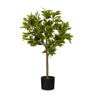 KUNSTTAIM MICA DECORATIONS LOORBERIPUU POTIS H90XØ25CM