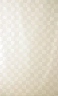 DUŠIKARDIN 180X200CM DUSCHY 621-89 RUUT/LEHT POLÜESTER