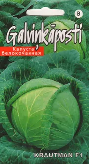 SEEMNED KURZEMES SEKLAS VALGE PEAKAPSAS 'KRAUTMANN F1'