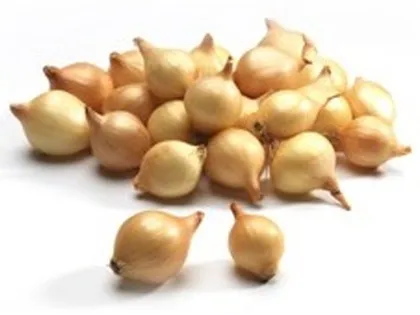 TIPPSIBUL STUTTGARTER 1KG