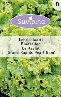 KÖÖGIVILJASEEMNED LEHTSALAT GRAND RAPIDS PEARL GEM