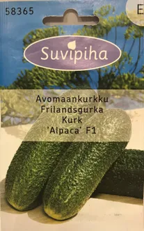 KÖÖGIVILJASEEMNED SUVIPIHA KURK ALPAKA F1 AVAMAA 10S 