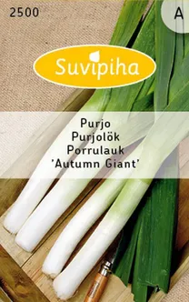 KÖÖGIVILJASEEMNED SUVIPIHA PORRULAUK AUTUMN GIANT