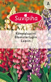 LILLESEEMNED SUVIPIHA LUPIIN 