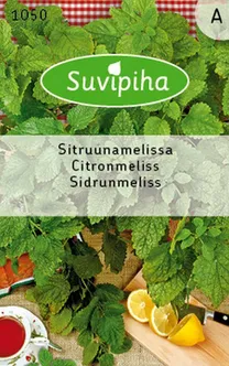 KÖÖGIVILJASEEMNED SUVIPIHA SIDRUNMELISS 
